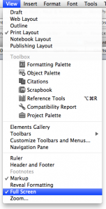 Microsoft Word 2008 View Menu